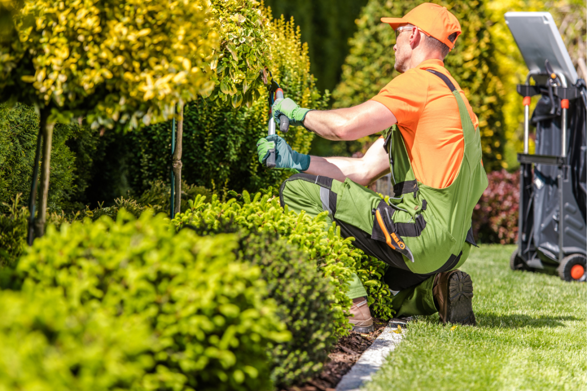 Advanced Arb Assets (1)